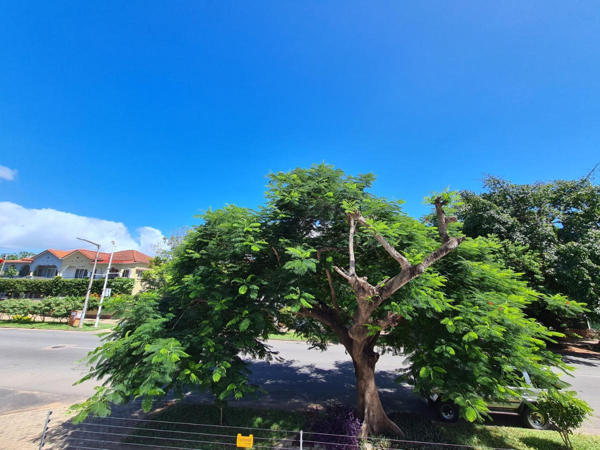 Stay Inn - Guest House マプト エクステリア 写真